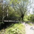 IMG_1376337