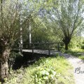 IMG_1376339