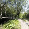 IMG_1376340