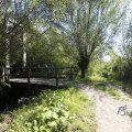 IMG_1376341