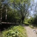 IMG_1376342