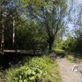 IMG_1376343