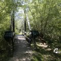 IMG_1376346