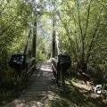 IMG_1376347