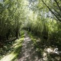 IMG_1376349