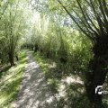 IMG_1376350