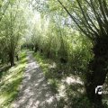 IMG_1376351