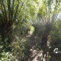 IMG_1376354