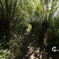 IMG_1376356