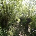 IMG_1376358