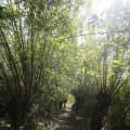IMG_1376359