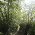 IMG_1376360