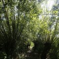 IMG_1376361