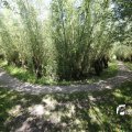 IMG_1376362