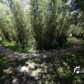 IMG_1376363