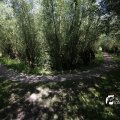 IMG_1376364