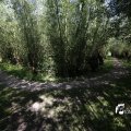IMG_1376365