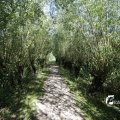 IMG_1376369