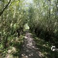 IMG_1376371