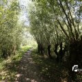 IMG_1376373