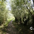 IMG_1376374