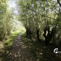 IMG_1376375