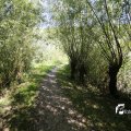 IMG_1376376