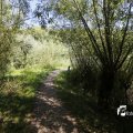 IMG_1376377