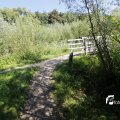 IMG_1376378