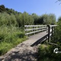 IMG_1376380