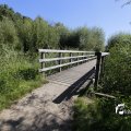 IMG_1376381