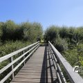 IMG_1376382