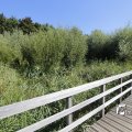 IMG_1376384