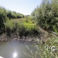 IMG_1376385