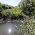 IMG_1376386