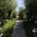 IMG_1376387