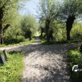 IMG_1376388