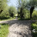 IMG_1376389