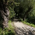 IMG_1376390