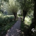 IMG_1376391