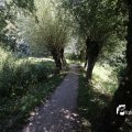IMG_1376392