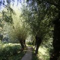 IMG_1376393