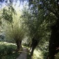 IMG_1376395