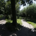 IMG_1376397