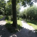 IMG_1376398