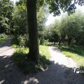 IMG_1376399