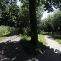 IMG_1376402