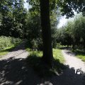 IMG_1376403