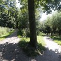 IMG_1376404