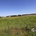 IMG_1376407